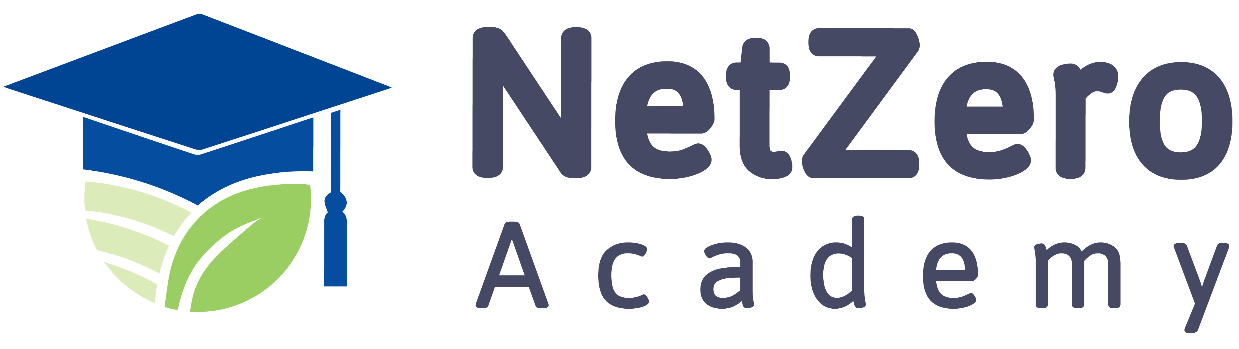 NetZero Academy Logo